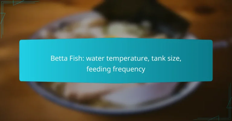 Betta Fish: water temperature, tank size, feeding frequency