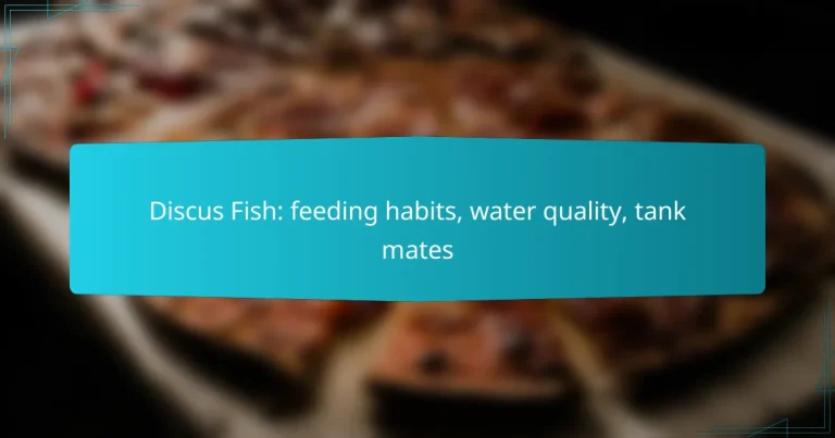 Discus Fish: feeding habits, water quality, tank mates
