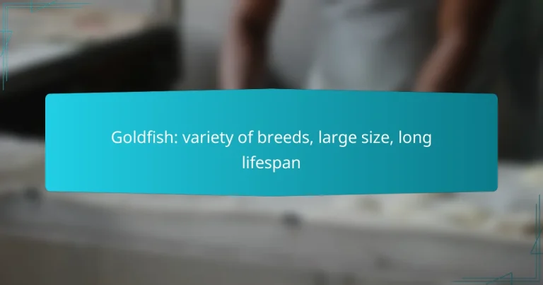 Goldfish: variety of breeds, large size, long lifespan