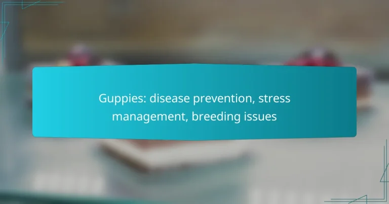 Guppies: disease prevention, stress management, breeding issues
