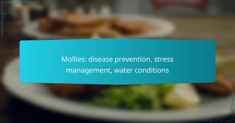 Mollies: disease prevention, stress management, water conditions