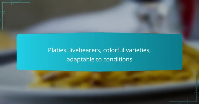 Platies: livebearers, colorful varieties, adaptable to conditions