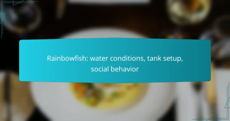 Rainbowfish: water conditions, tank setup, social behavior