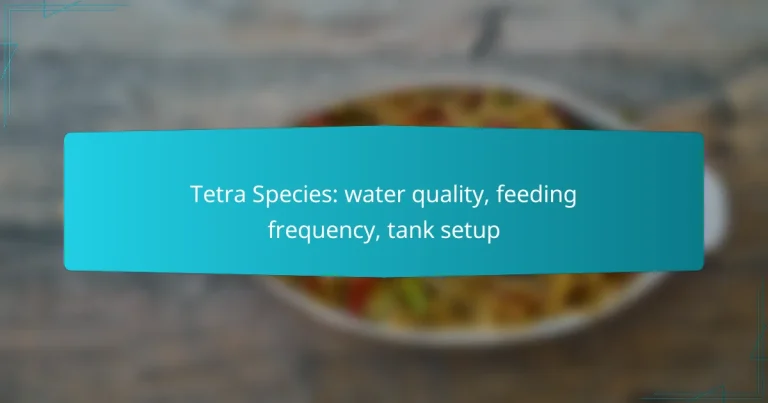Tetra Species: water quality, feeding frequency, tank setup