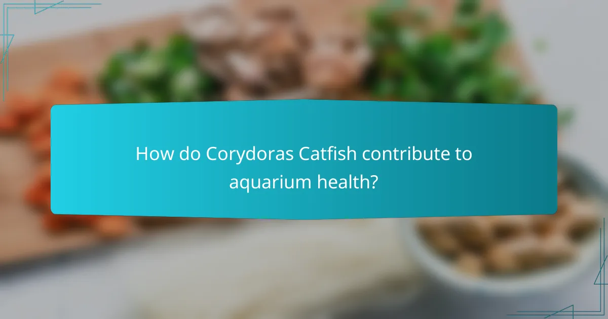 How do Corydoras Catfish contribute to aquarium health?