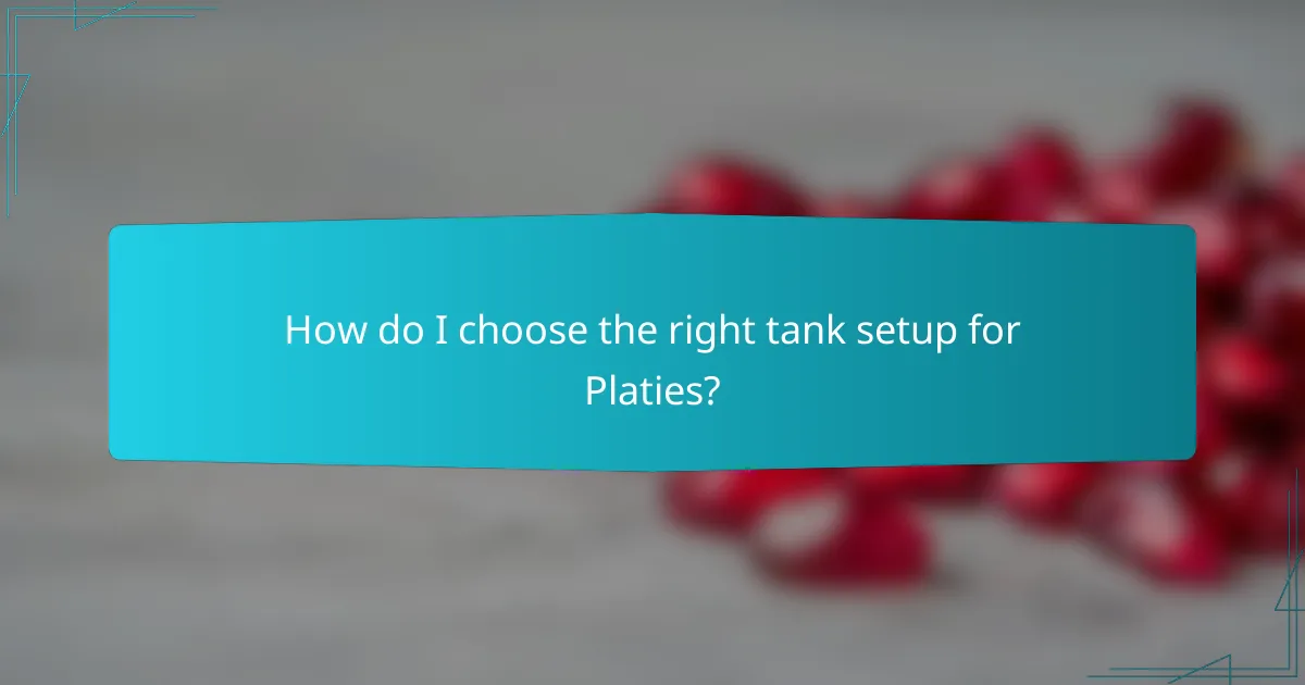 How do I choose the right tank setup for Platies?
