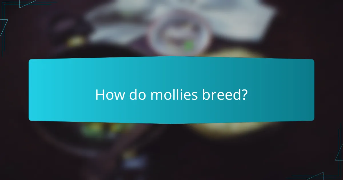 How do mollies breed?