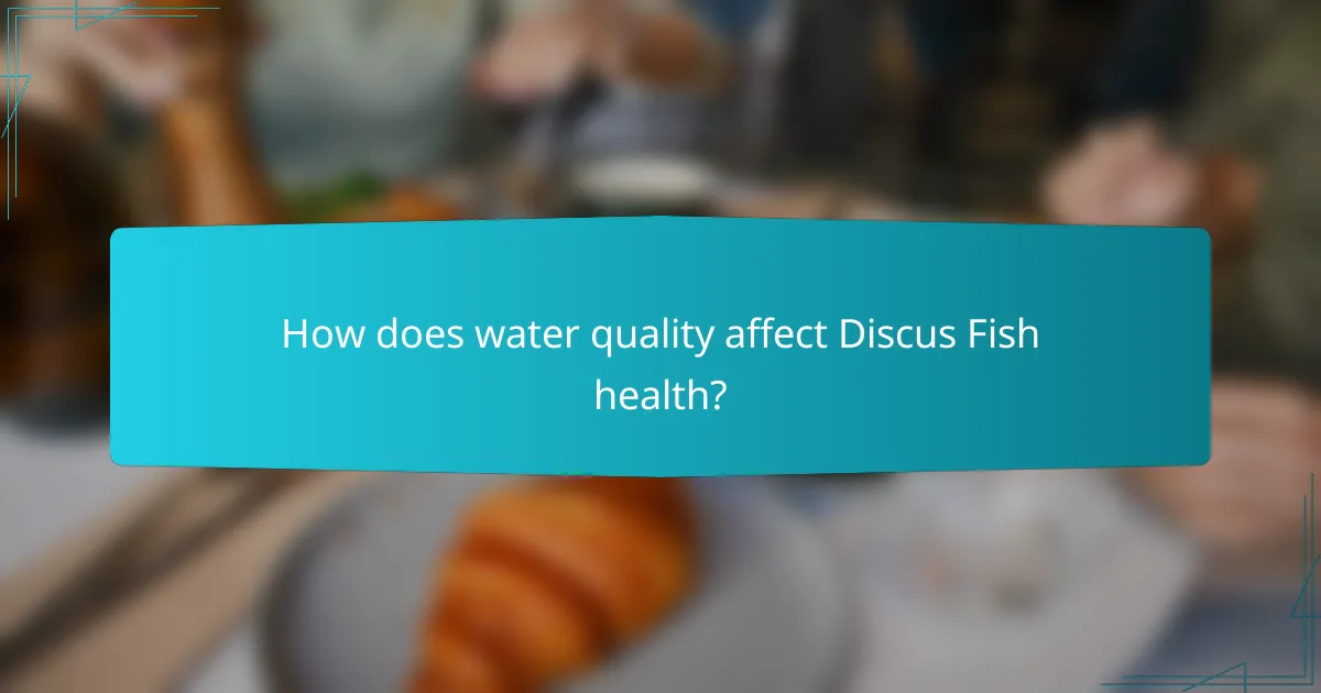 How does water quality affect Discus Fish health?