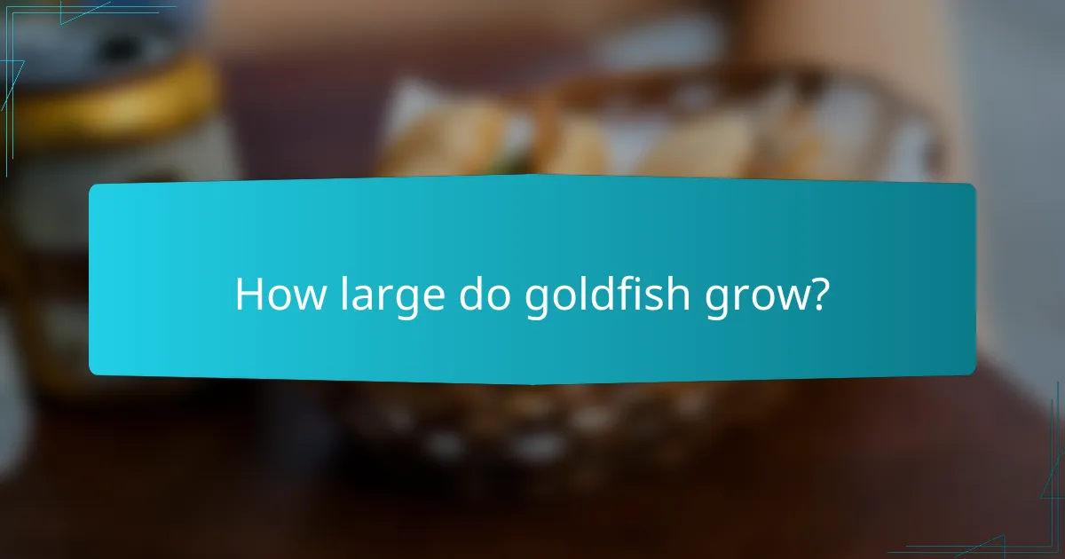 How large do goldfish grow?