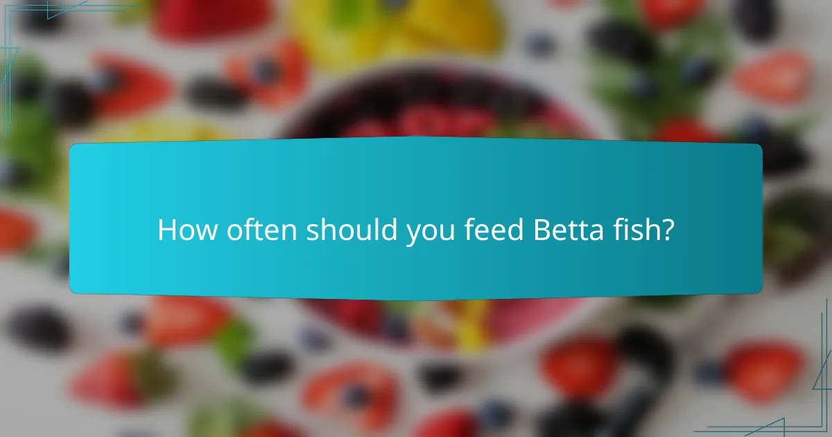 How often should you feed Betta fish?
