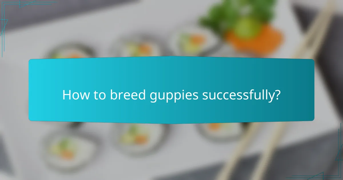 How to breed guppies successfully?
