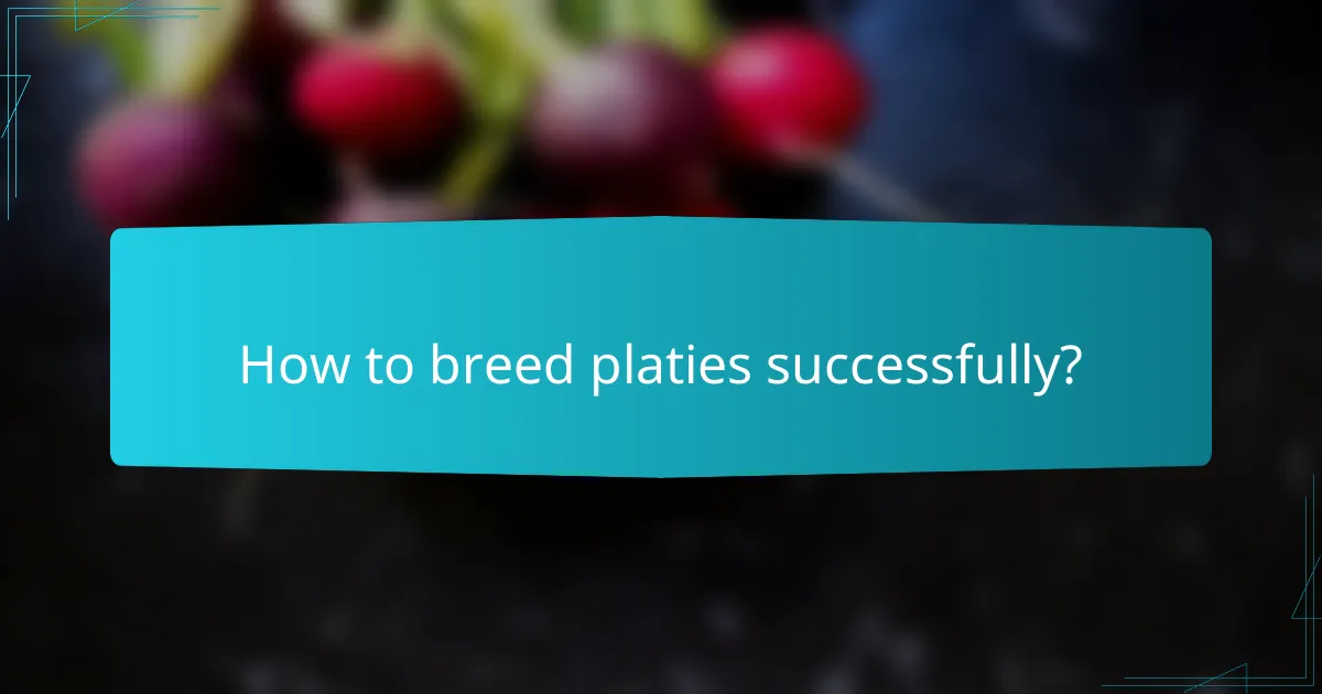 How to breed platies successfully?