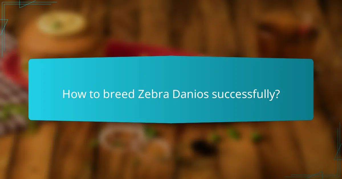 How to breed Zebra Danios successfully?