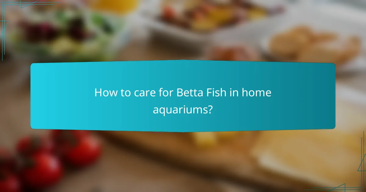 How to care for Betta Fish in home aquariums?