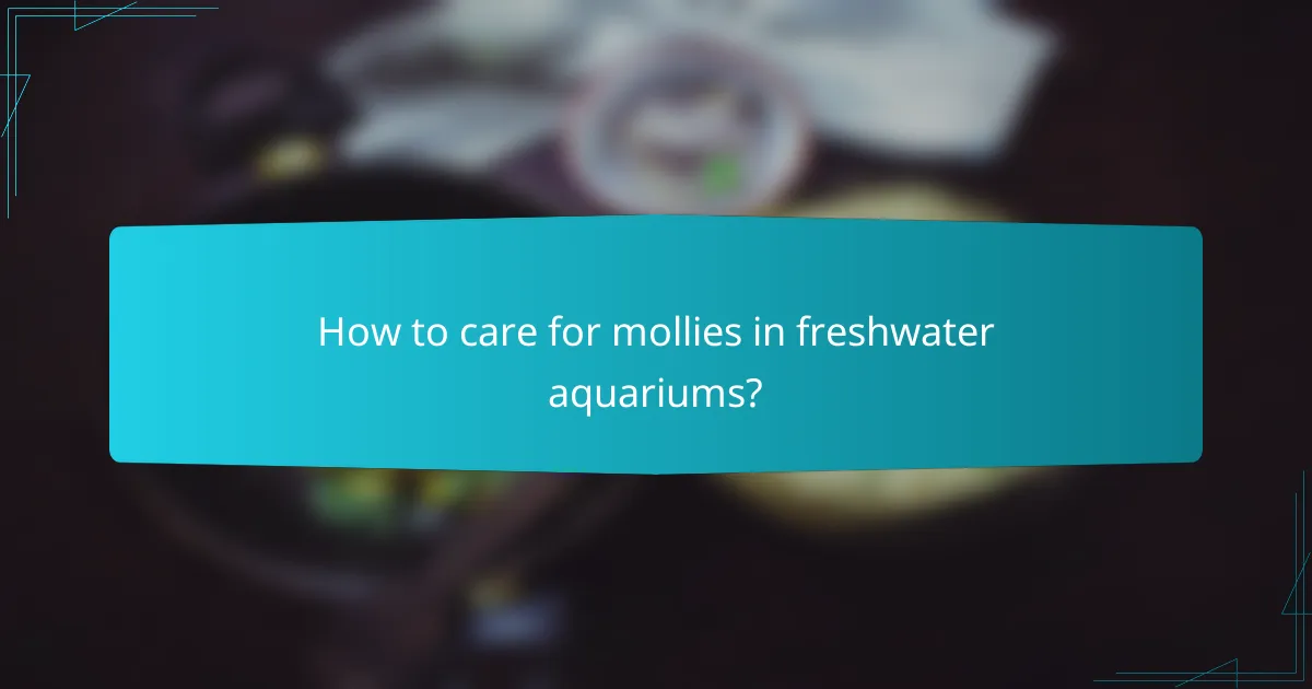 How to care for mollies in freshwater aquariums?