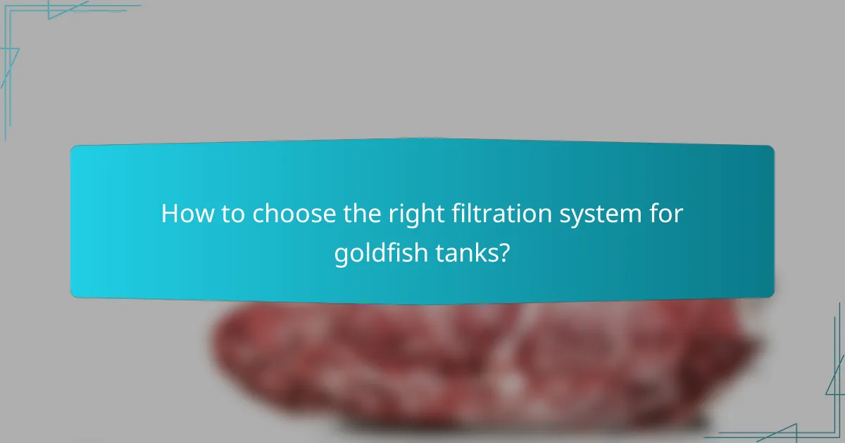 How to choose the right filtration system for goldfish tanks?