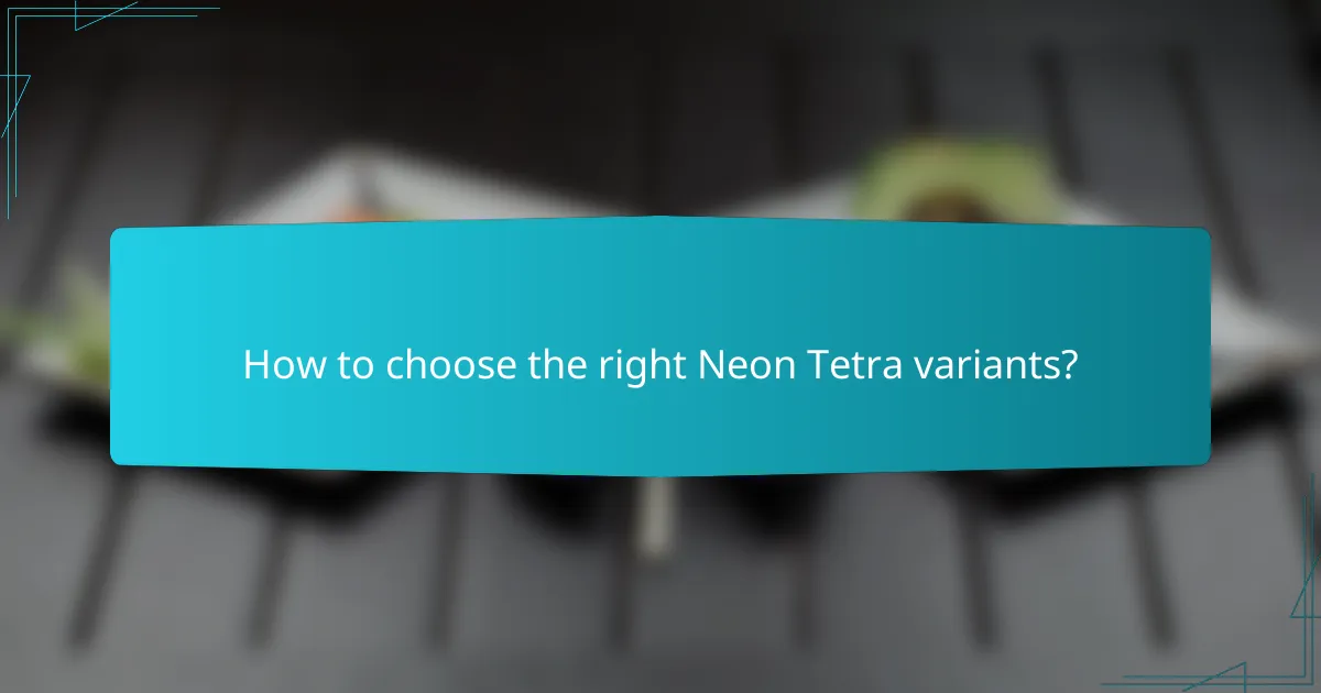 How to choose the right Neon Tetra variants?