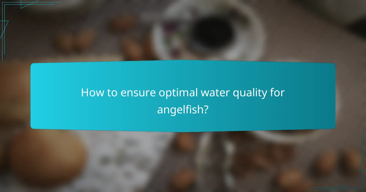 How to ensure optimal water quality for angelfish?