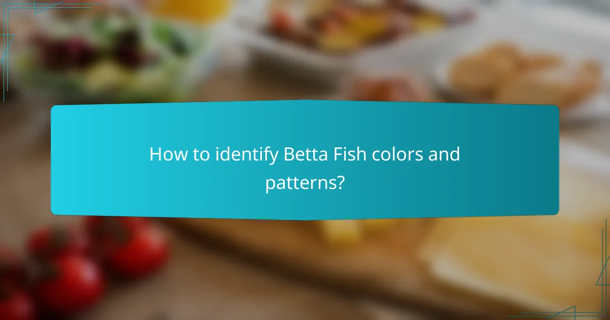 How to identify Betta Fish colors and patterns?