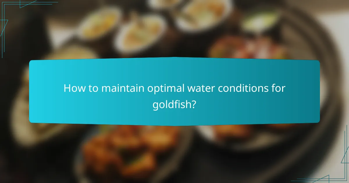 How to maintain optimal water conditions for goldfish?