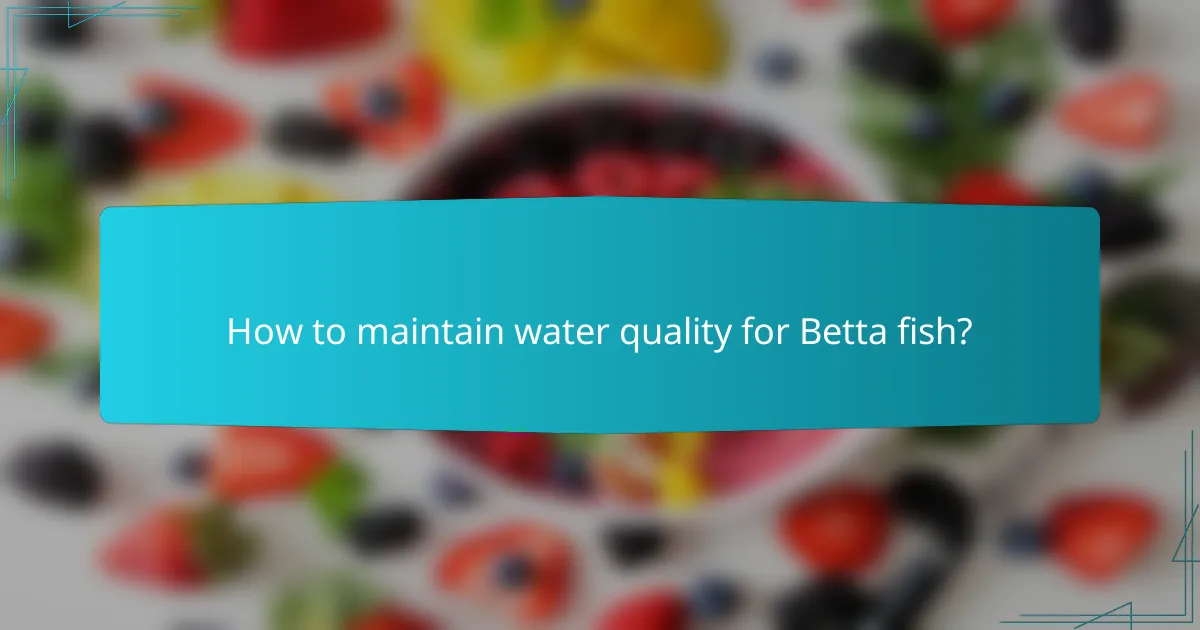 How to maintain water quality for Betta fish?