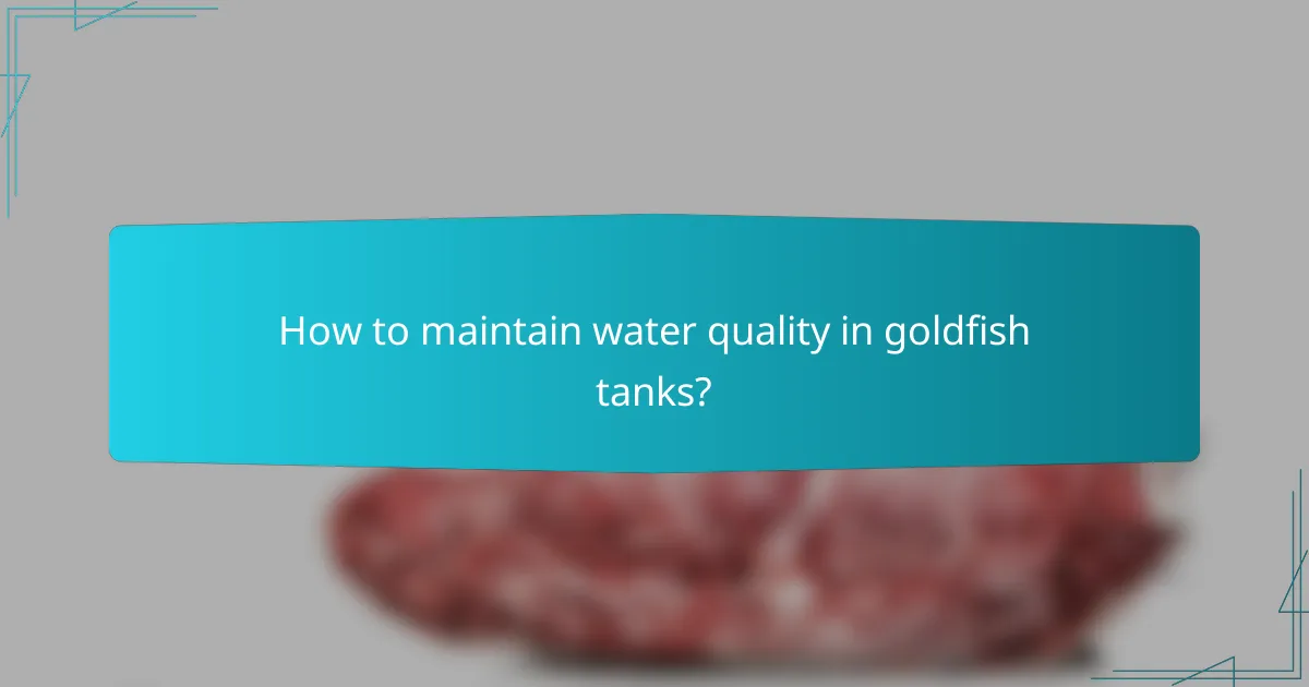 How to maintain water quality in goldfish tanks?