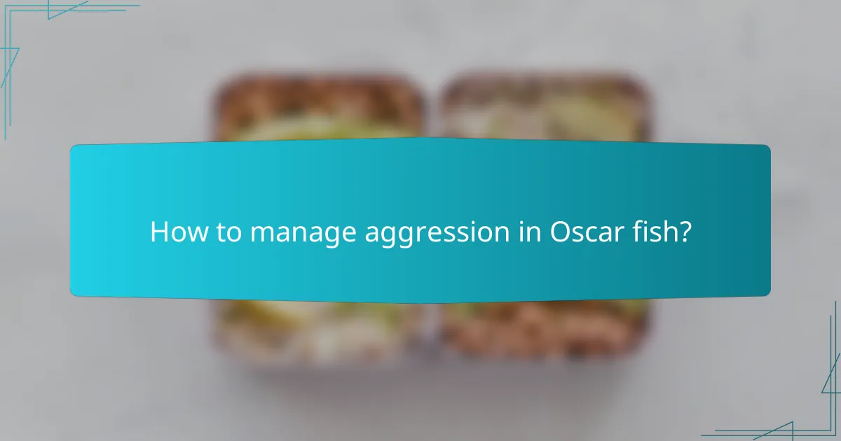 How to manage aggression in Oscar fish?