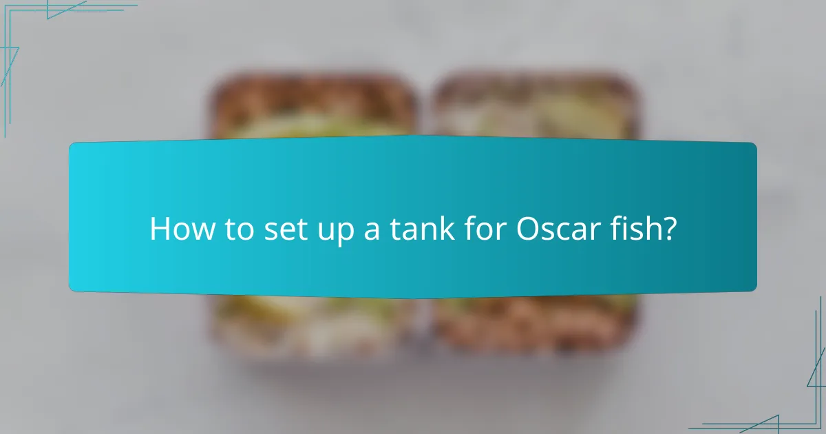 How to set up a tank for Oscar fish?