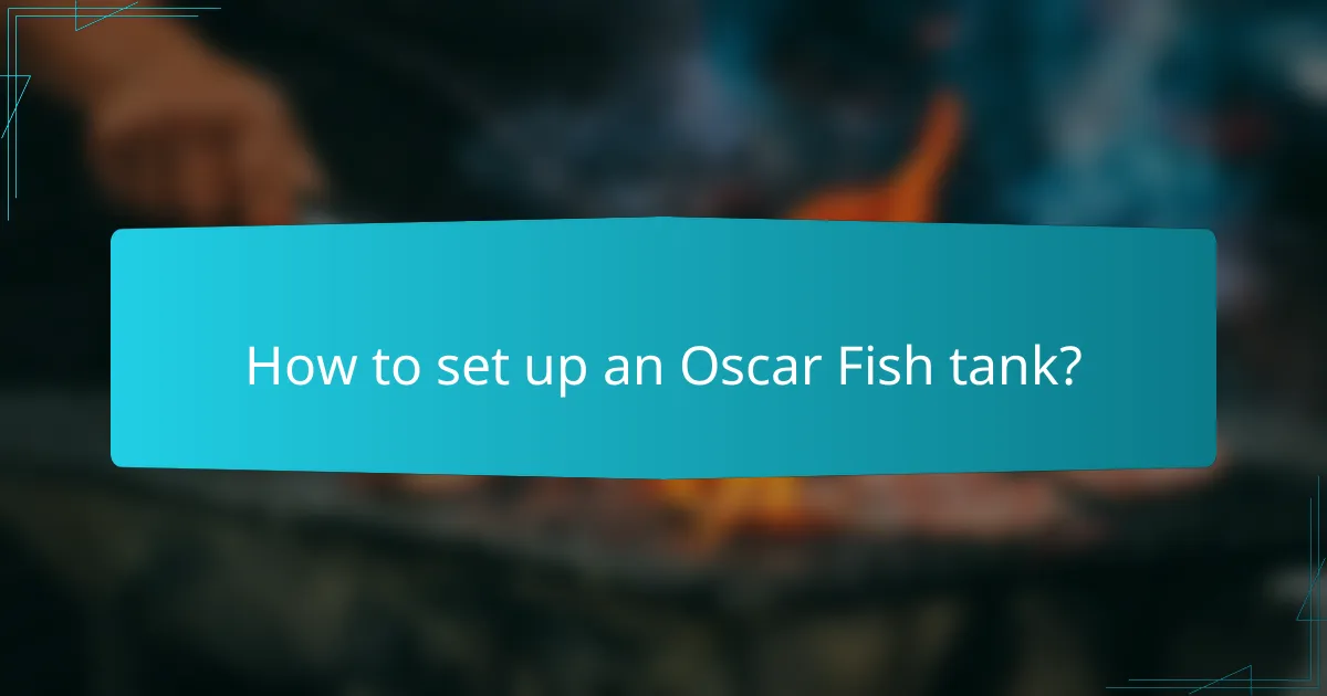 How to set up an Oscar Fish tank?