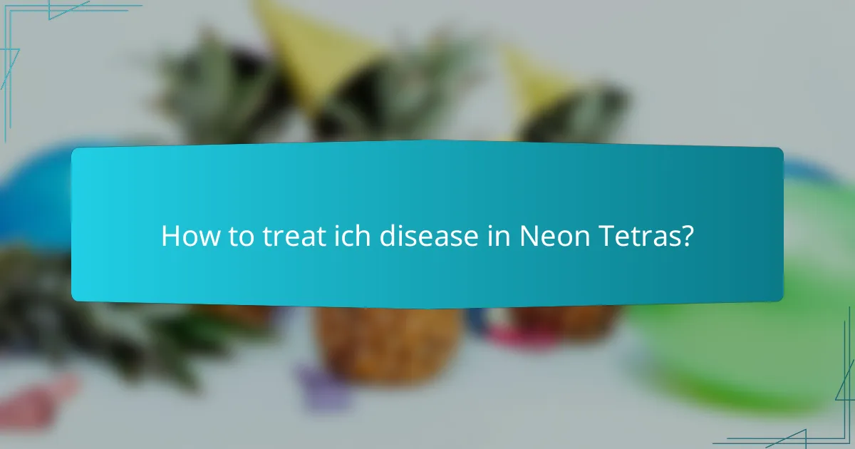 How to treat ich disease in Neon Tetras?