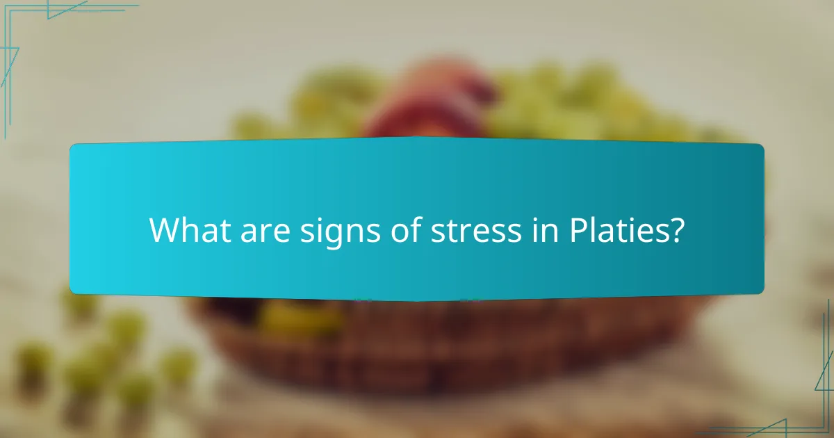 What are signs of stress in Platies?