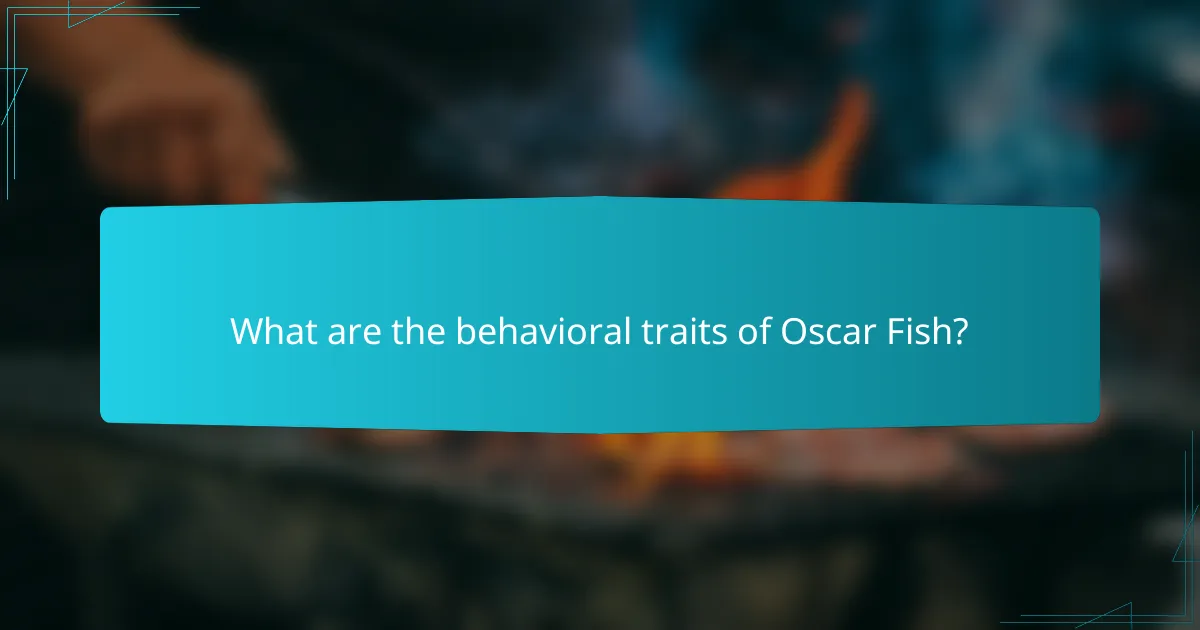 What are the behavioral traits of Oscar Fish?