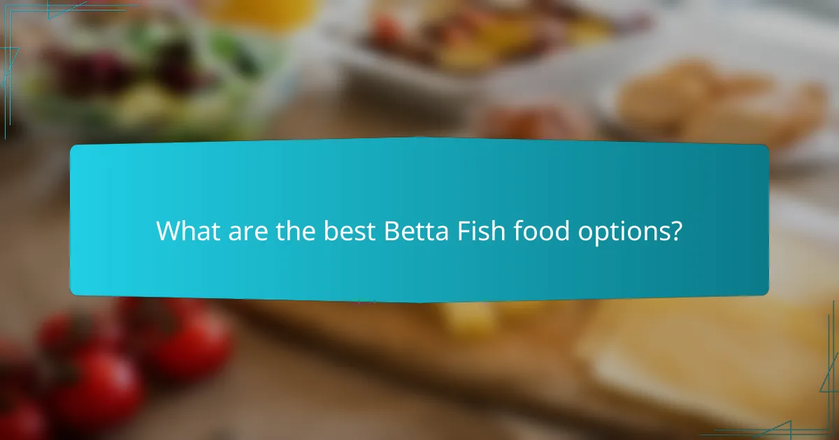 What are the best Betta Fish food options?