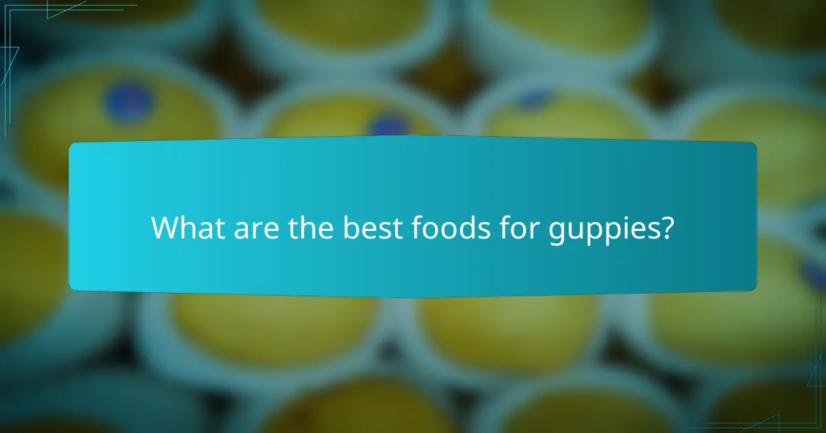 What are the best foods for guppies?