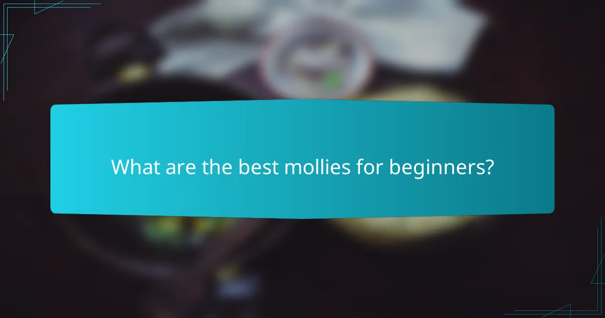 What are the best mollies for beginners?