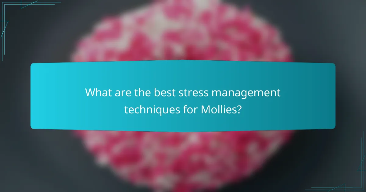 What are the best stress management techniques for Mollies?