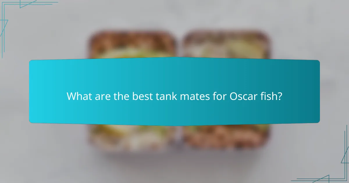 What are the best tank mates for Oscar fish?