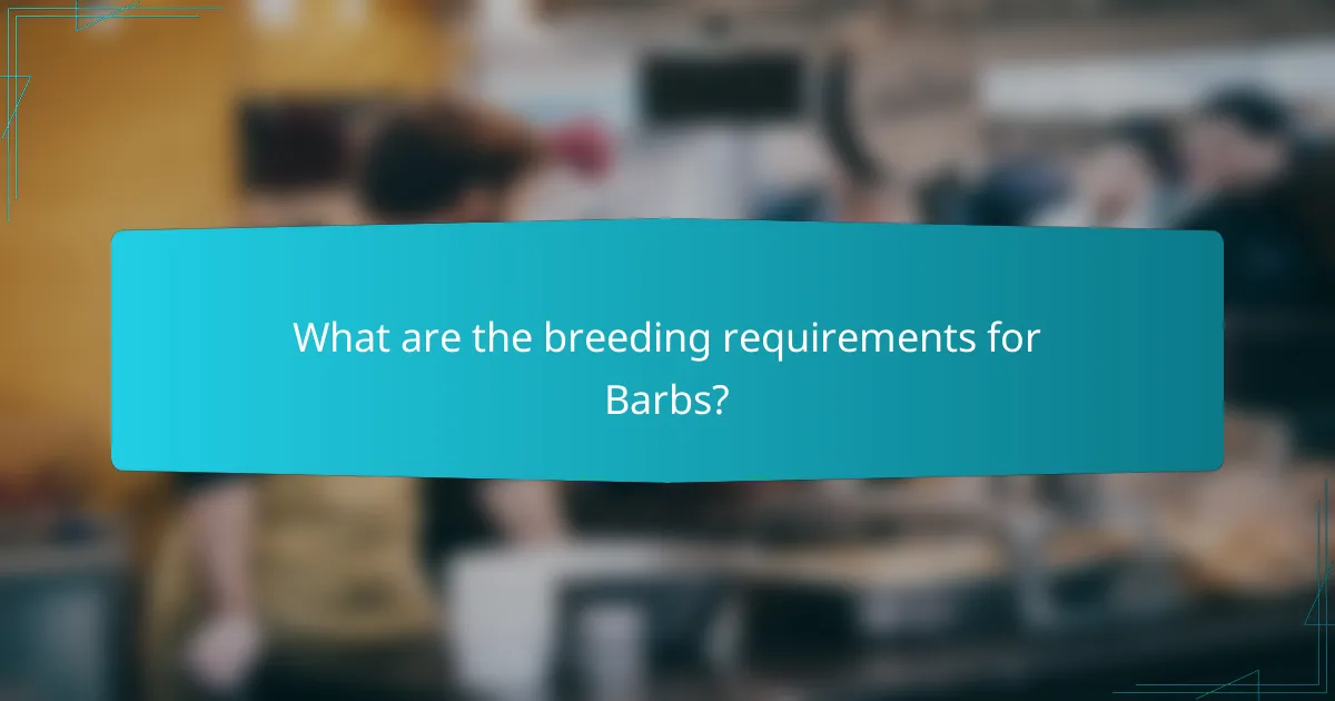 What are the breeding requirements for Barbs?