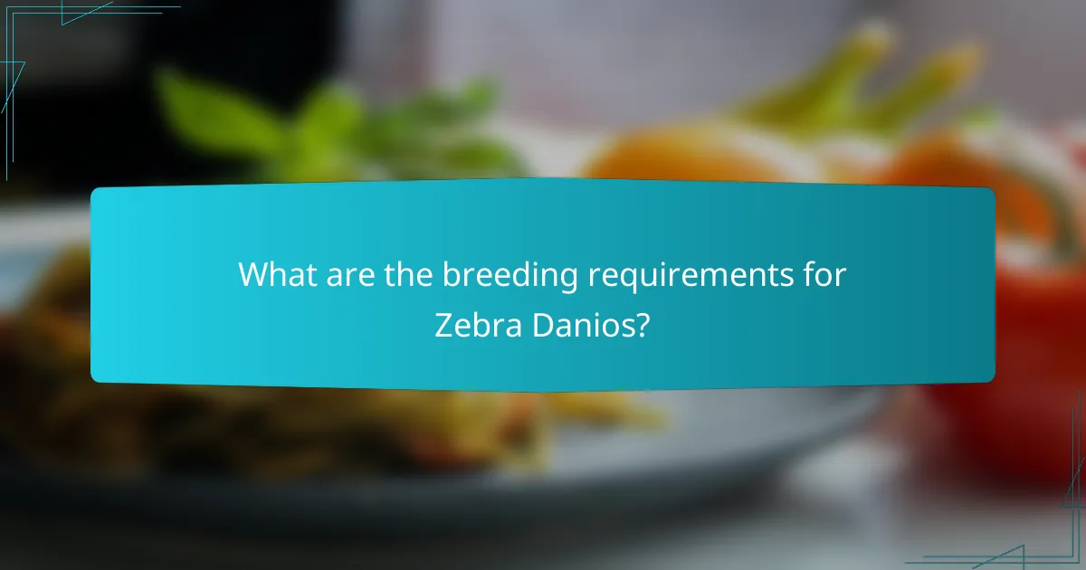 What are the breeding requirements for Zebra Danios?