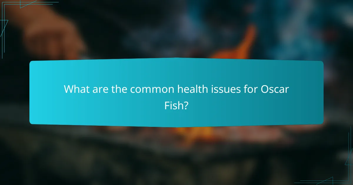 What are the common health issues for Oscar Fish?