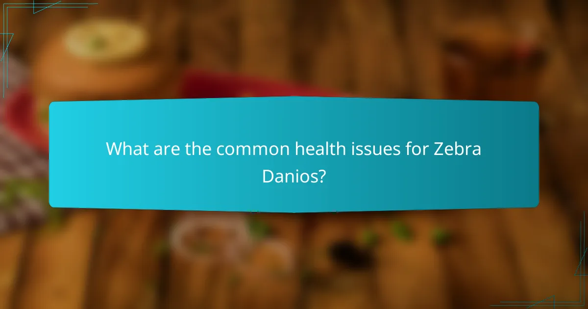 What are the common health issues for Zebra Danios?