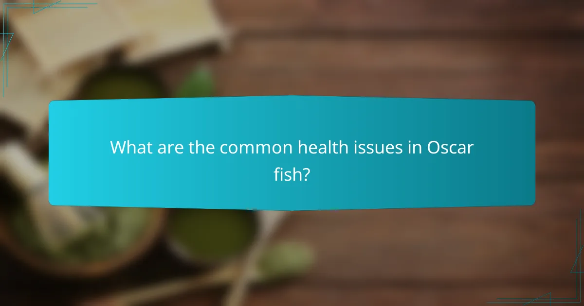 What are the common health issues in Oscar fish?