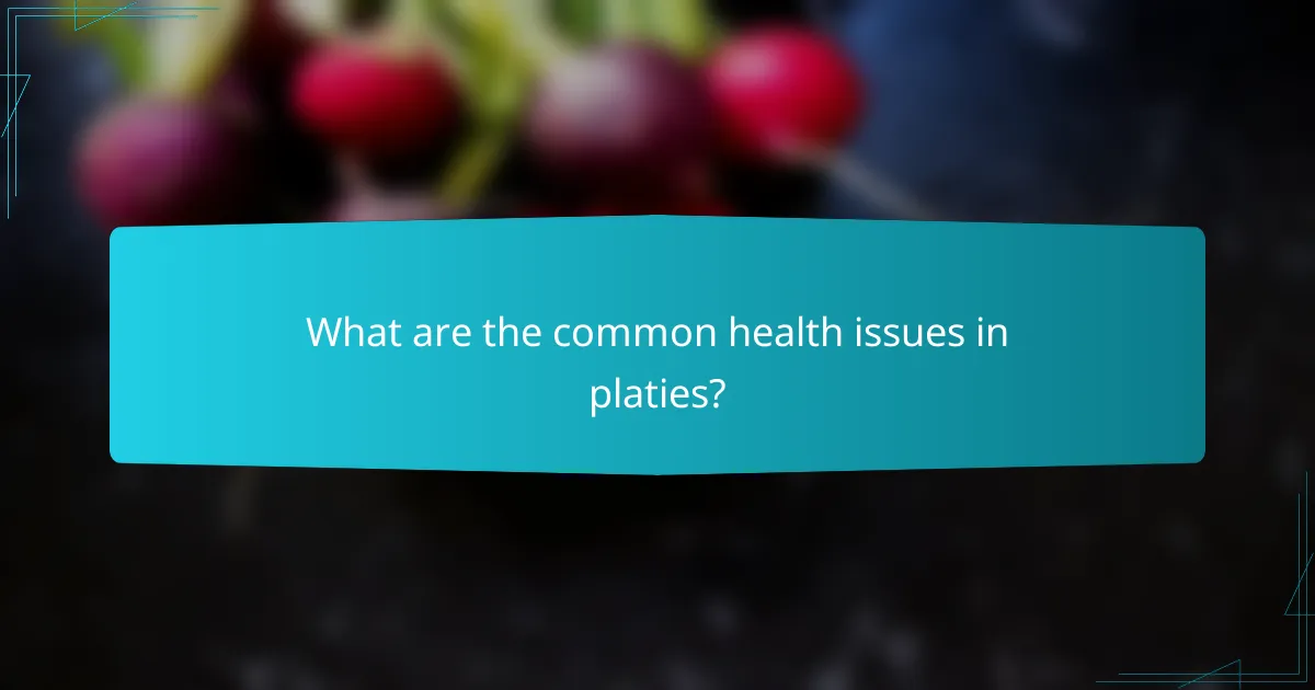 What are the common health issues in platies?