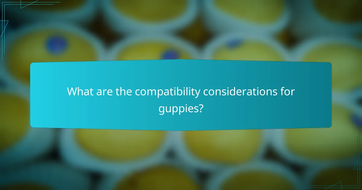 What are the compatibility considerations for guppies?