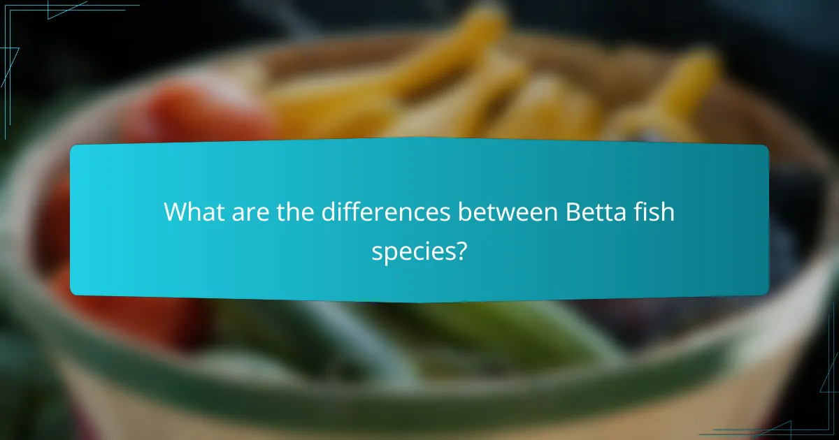 What are the differences between Betta fish species?