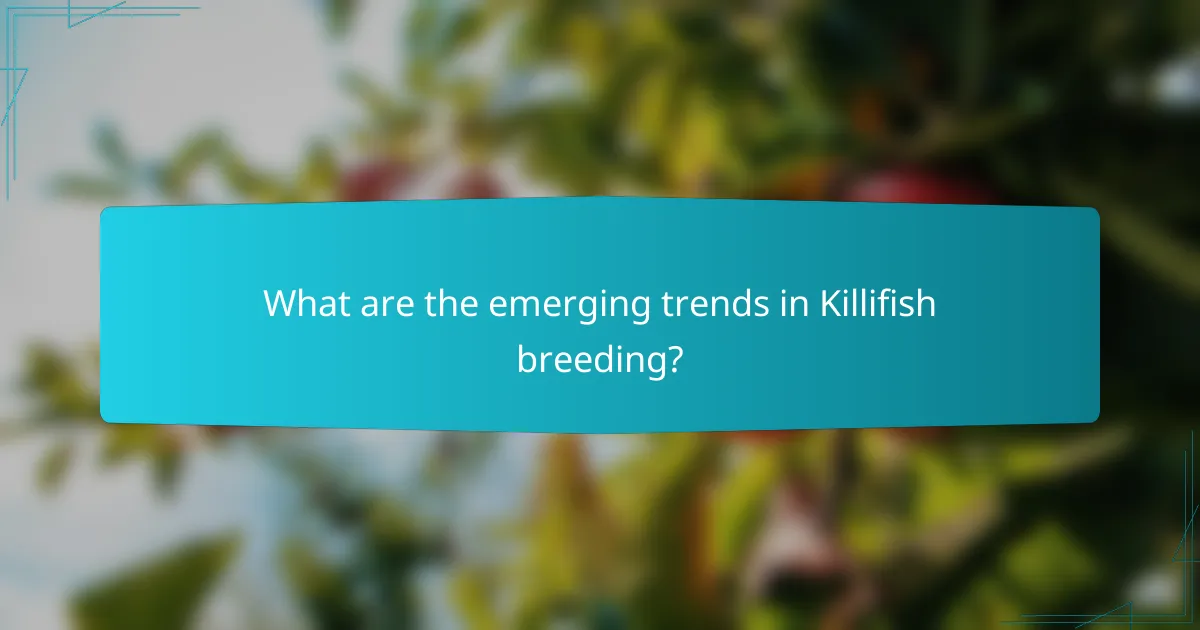 What are the emerging trends in Killifish breeding?