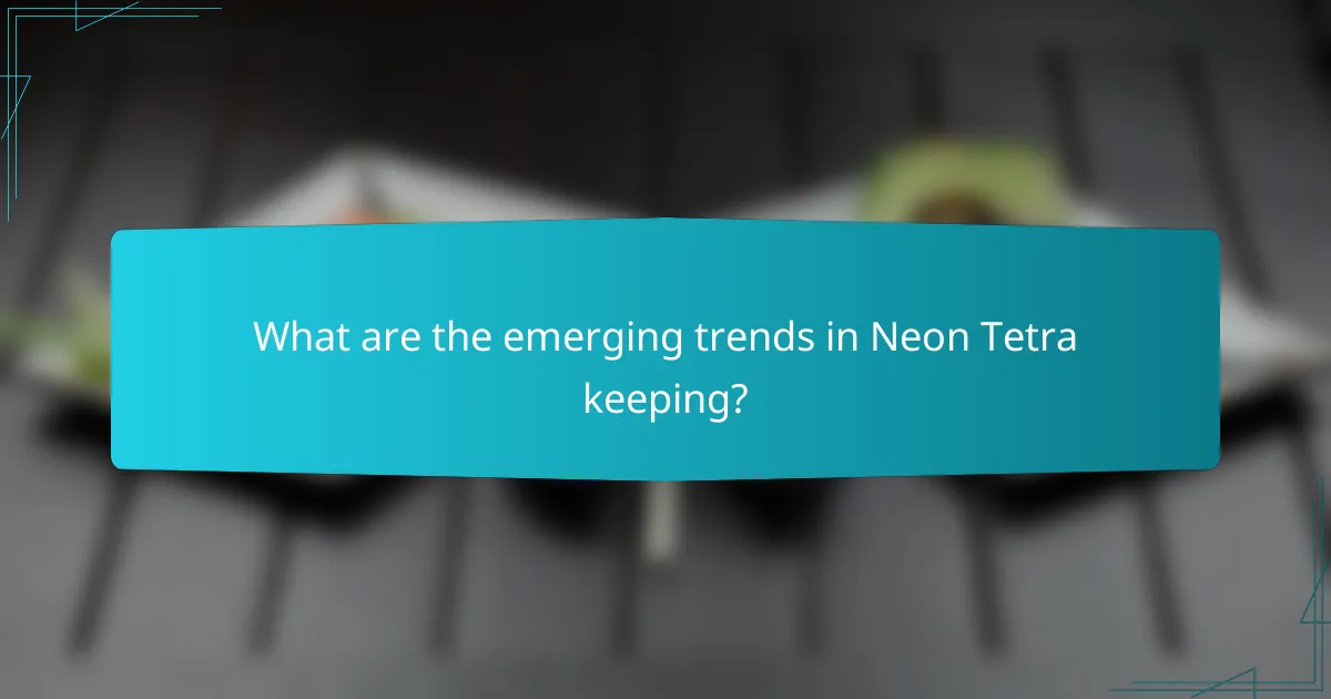 What are the emerging trends in Neon Tetra keeping?