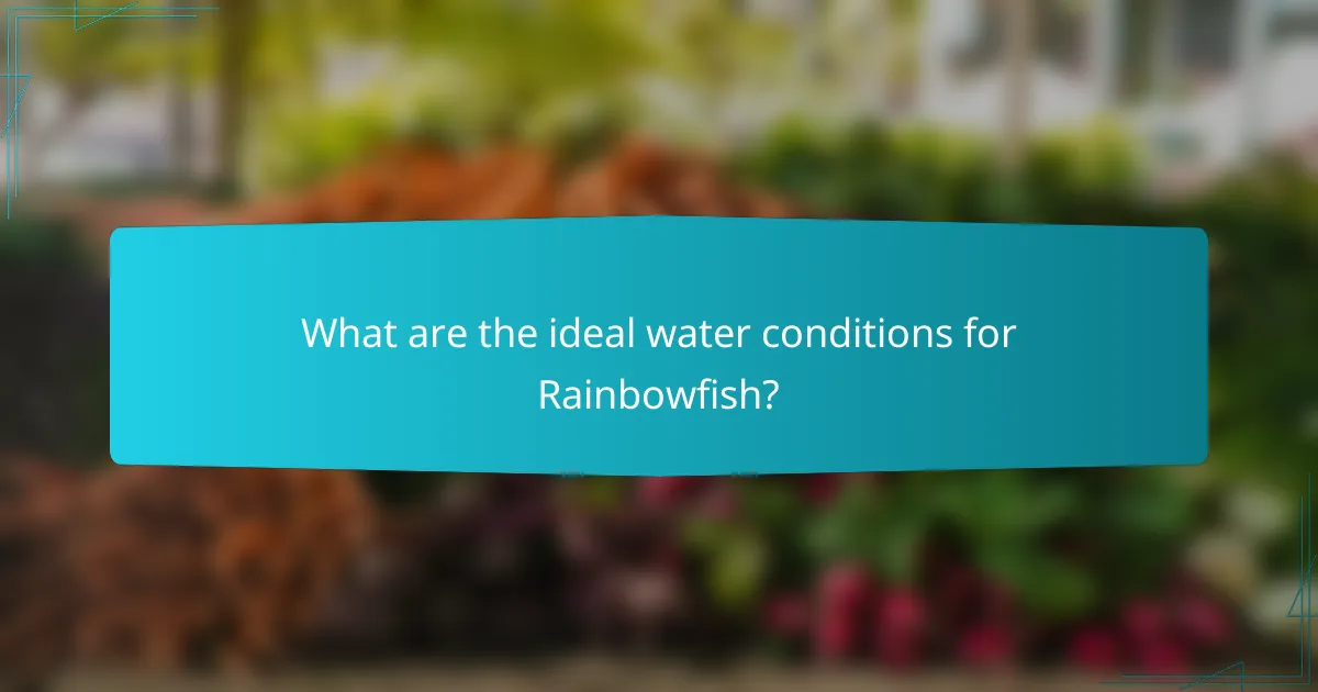 What are the ideal water conditions for Rainbowfish?