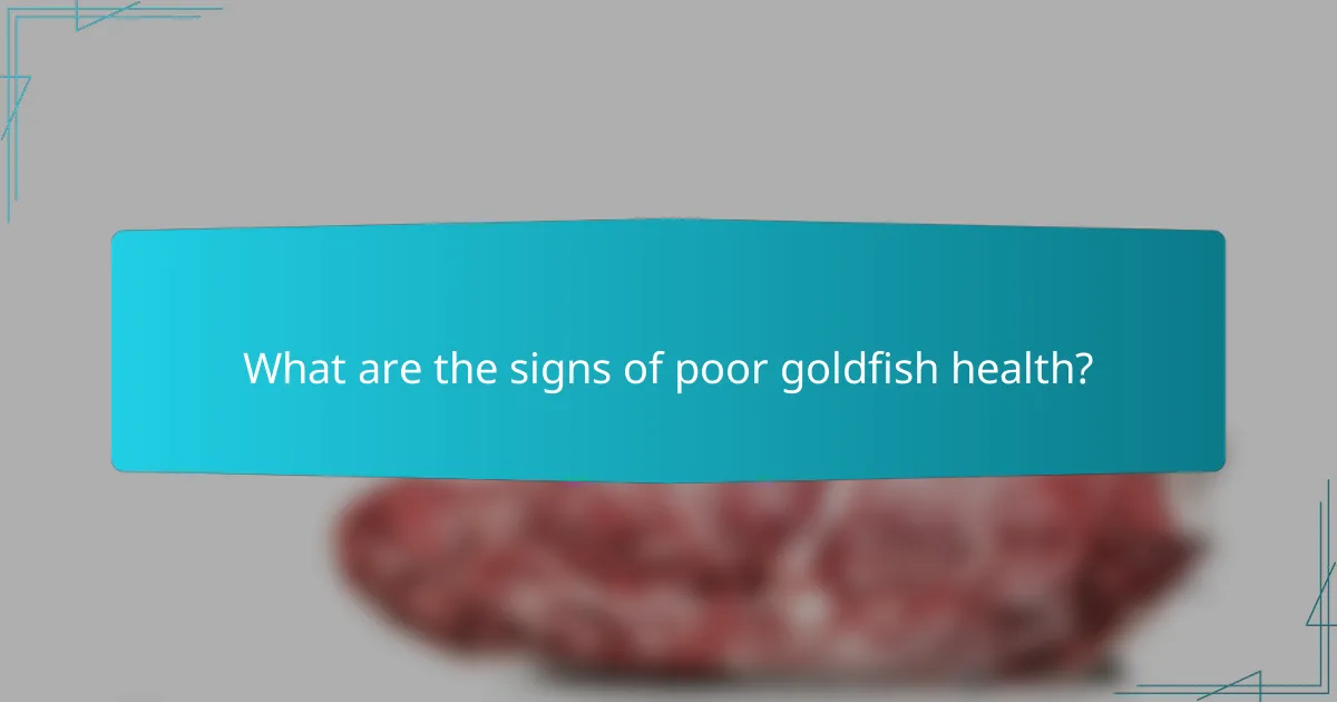 What are the signs of poor goldfish health?