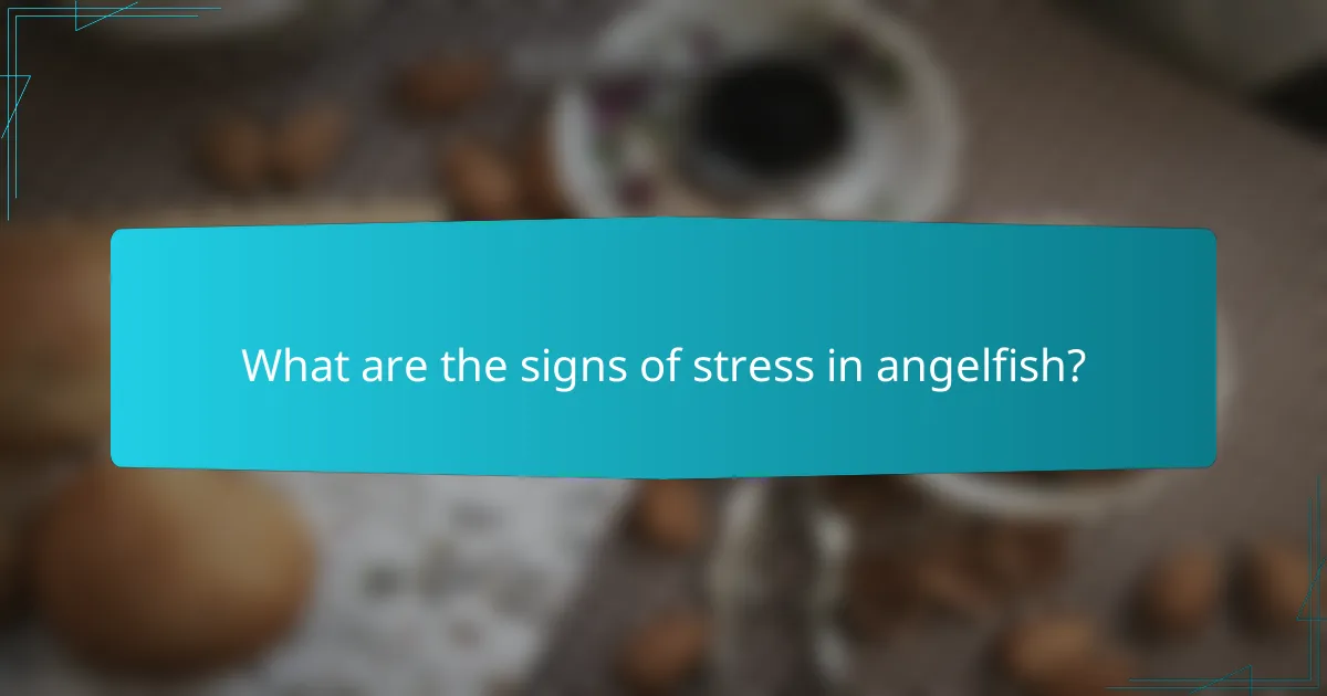 What are the signs of stress in angelfish?
